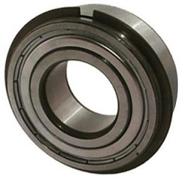 NTN 6008ZZNR/2A Single Row Ball Bearings