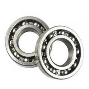 6011ZN, Spain Single Row Radial Ball Bearing - Single Shielded w/ Snap Ring Groove