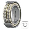 NTN 7318BL1GD2/GNP5 Precision Ball Bearings