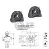 2x 40 mm Take Up Units Cast Iron HCT208 Mounted Bearing HC208 + T208 New #2 small image