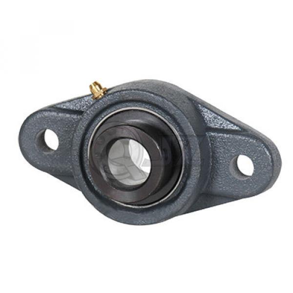 7/8 in 2-Bolts Flange Units Cast Iron HCFL205-14 Mounted Bearing HC205-14+FL205 #1 image