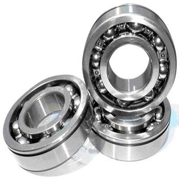 BSP1560SL Spain IKO Linear Ball Bearing Units #1 image